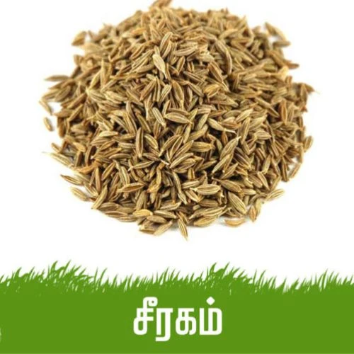 சீரகம் / Jeeragam / Cumin